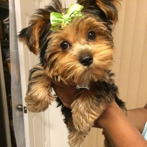 Meet your Posher, Martina