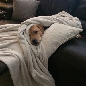 Meet your Posher, Carrie