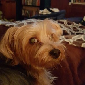 Meet your Posher, Amy