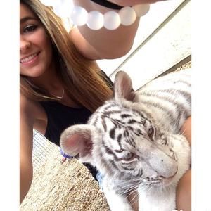 Meet your Posher, Taylor