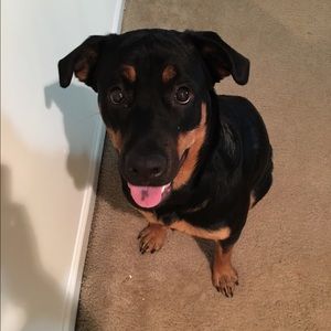 Meet your Posher, Erica