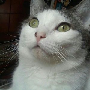 Meet your Posher, Tanya