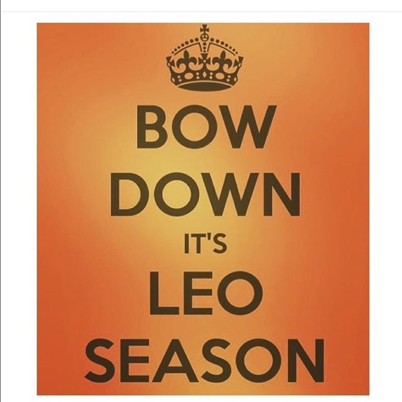 Meet your Posher, Dee - Picture 4 of 8