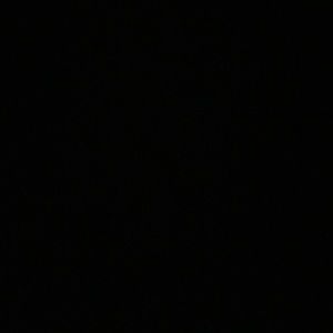 Meet your Posher, Dalia