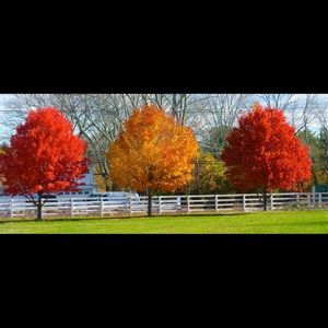 Meet your Posher, Mc