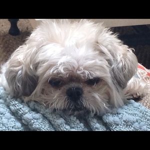 Meet your Posher, Kim