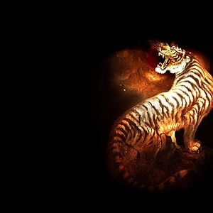 Meet your Posher, Luanna