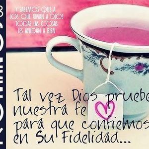 Meet your Posher, Ericka