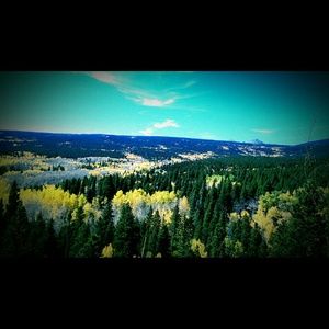 Meet your Posher, Rae