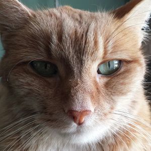 Meet your Posher, Liz