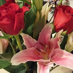 Meet your Posher, Anabel