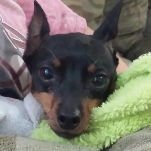 Meet your Posher, Angela