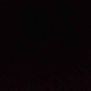 Meet your Posher, Phillip