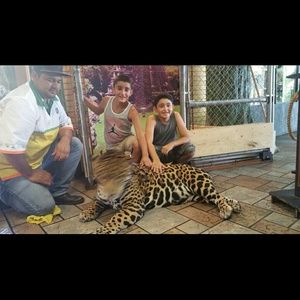 Meet your Posher, Angie