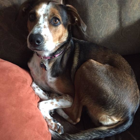 Meet your Posher, Chelsea