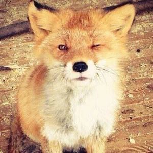 Meet your Posher, Miranda