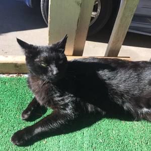 Meet your Posher, Liliana