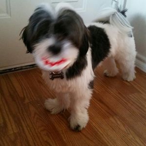 Meet your Posher, Shon