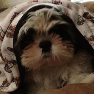 Meet your Posher, Kelly