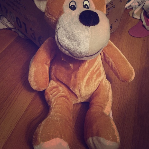 A toy