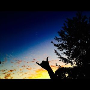 Meet your Posher, Evelyn