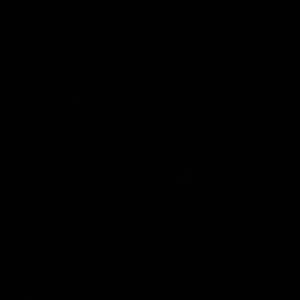 Meet your Posher, Cassandra