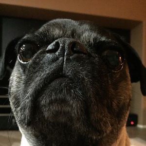 Meet your Posher, Jaime