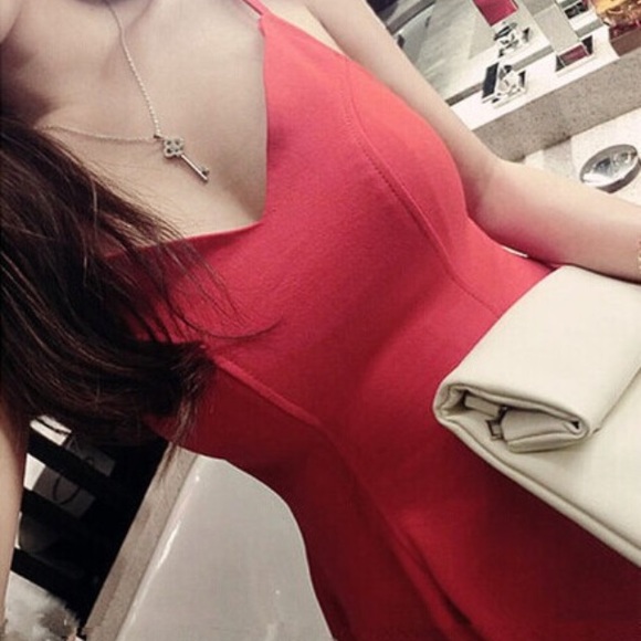 Red Robin - Picture 2 of 2