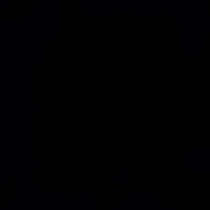 Meet your Posher, Nina