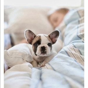 Meet your Posher, Katelyn