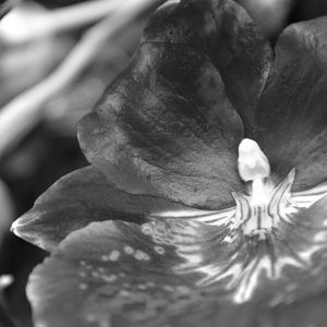 Meet your Posher, Molly