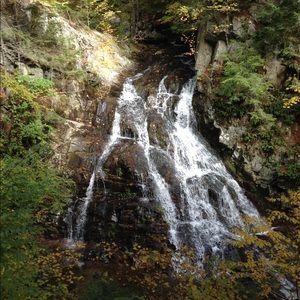 Meet your Posher, Shayla