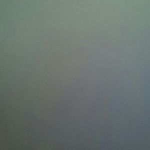 Meet your Posher, Shanel