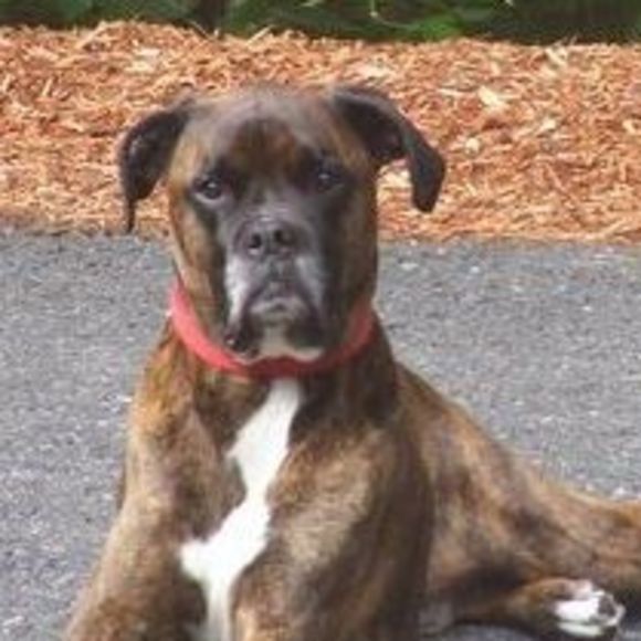 Meet your Posher, Paula - Picture 1 of 1