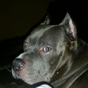 Meet your Posher, Delanie