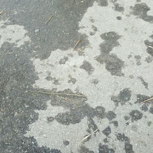 Meet your Posher, Giovanni