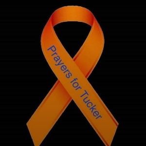 Meet your Posher, Cathy