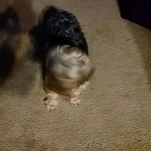 Meet your Posher, Andrea