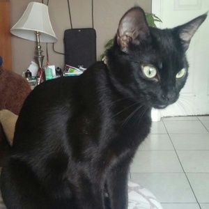 Meet your Posher, Araceli