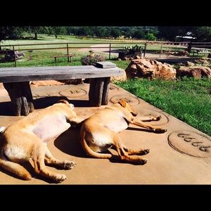 Meet your Posher, Pam