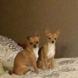 Meet your Posher, Kelly