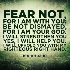 Meet your Posher, Suzanne