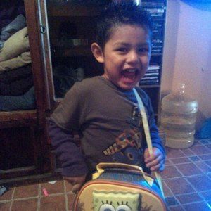 Meet your Posher, Ernesto