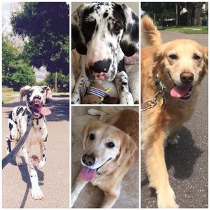 Meet your Posher, Heather