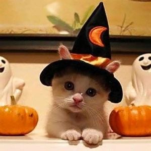 Meet your Posher, Kelley