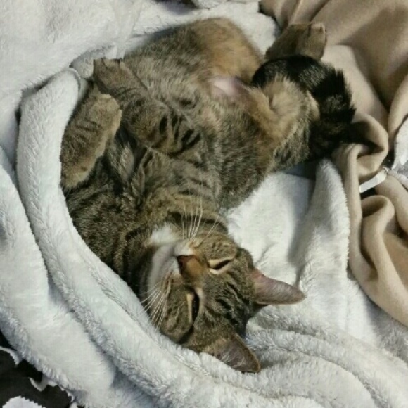 ᕼeᒪᒪo ᗰy ᑎᗩᗰe iᔕ kᖇiᔕteᑎ💕 - Picture 4 of 7