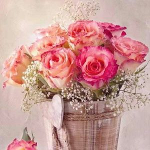 Meet your Posher, Micaela