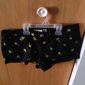 Aeropostale Palm tree shorts
