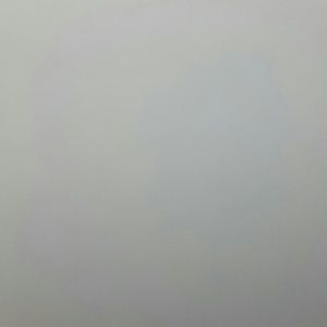 Meet your Posher, Nely