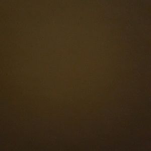 Meet your Posher, Eva